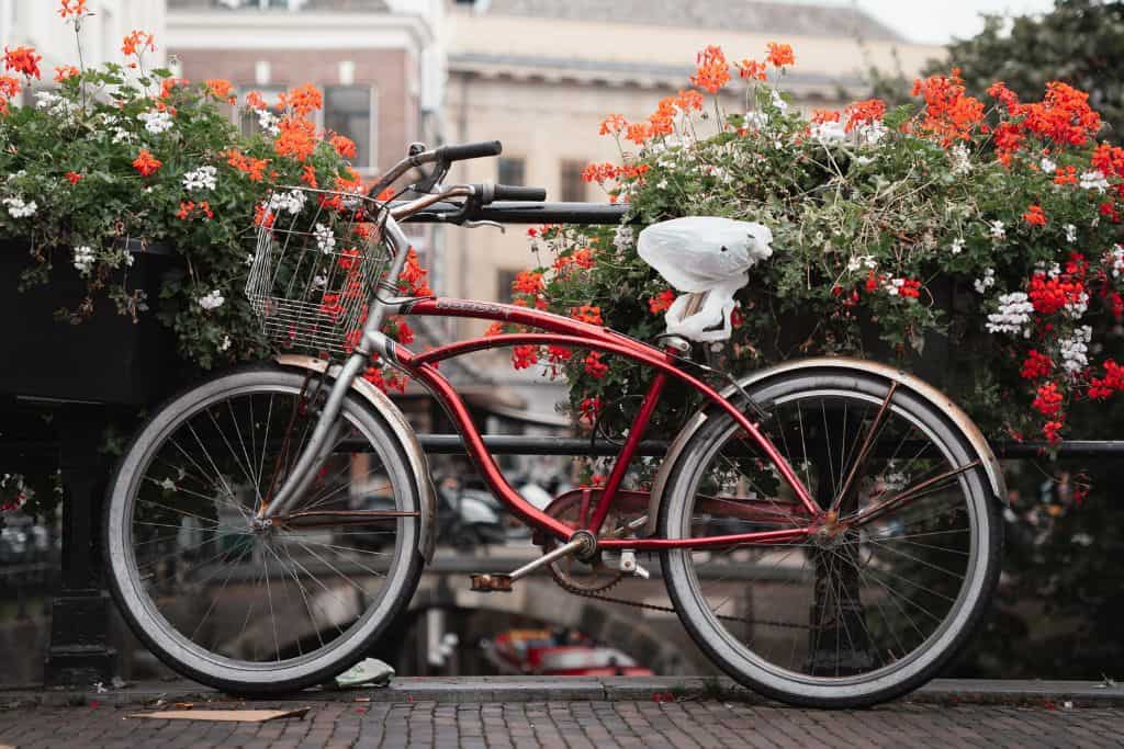 A red bike parked on a bridge in front of red and white cascading flowers.