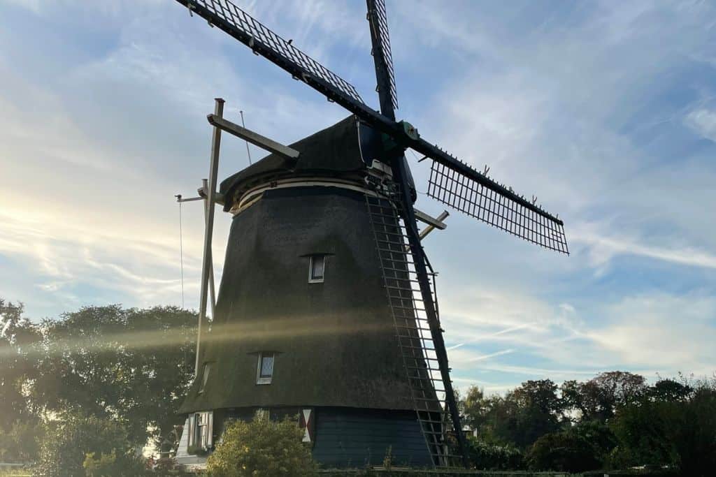 Windmill in Amsterdam outskirts on a sunny day